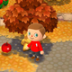 All Images: Nintendo/Screenshot